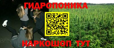 марки lsd Будённовск