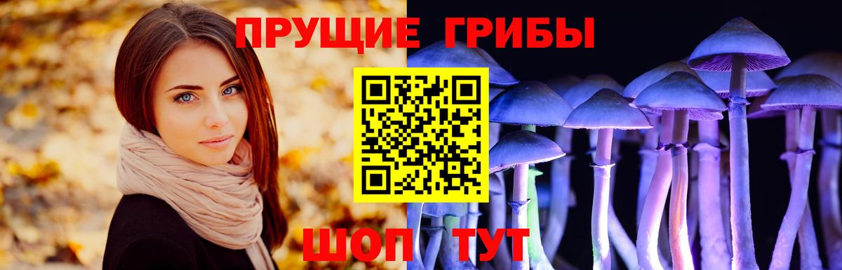 Псилоцибиновые грибы мицелий Славгород